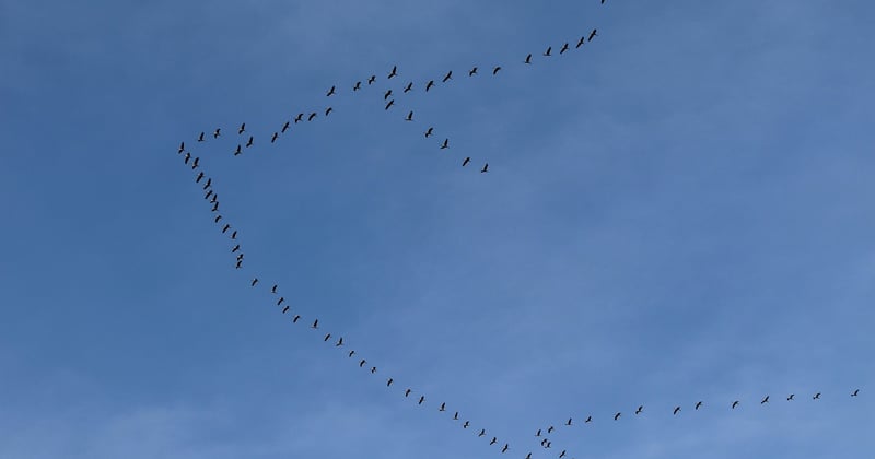 Guide de migration vers un nouveau système d'exploitation sans stress